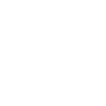 logo 25