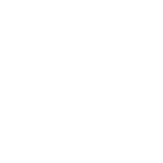 logo 49