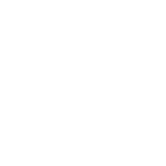 logo 50