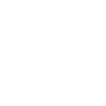 logo 51